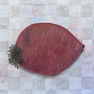 Puede incluir: Dibujo de una cebolla roja sobre un fondo a cuadros. La cebolla es de color burdeos oscuro con un extremo de raíz oscuro y texturizado. El fondo es un patrón de cuadros gris claro y blanco.