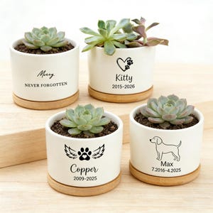 Może przedstawiać: Cztery białe ceramiczne doniczki z sukulentami z drewnianymi podstawami. Każda doniczka zawiera innego sukulenta i pamiątkowy wzór dla zwierząt z imieniem i datami. Tekst zawiera "Merry Never Forgotten", "Kitty 2015-2026", "Copper 2009-2025" i "Max 7.2016-4.2025".