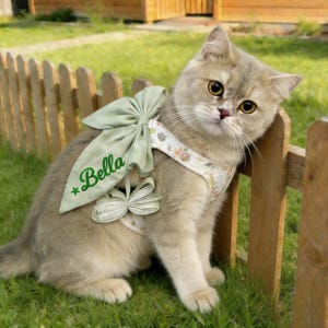 Pode incluir: Um gato de cor clara usando uma coleira decorativa com um grande laço verde e o nome "Bella" bordado. A coleira tem um padrão floral. O gato está sentado na grama verde ao lado de uma pequena cerca de madeira.