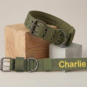 Personalisierte taktisches Hundehalsband | Robustes Nylon-Halsband für Mittelgroße Hunde | Gepolstertes Hundehalsband im Military Stil