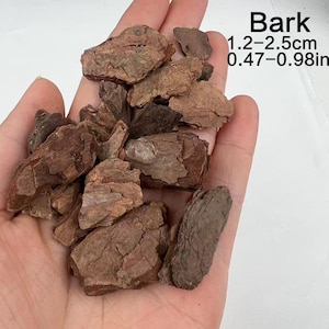 以下が含まれることがあります： 茶色とベージュの色合いの、ざらざらした表面の樹皮の破片のクローズアップ。画像には「Bark 1.2-2.5cm 0.47-0.98in」と書かれています。