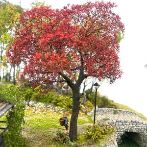 Puede incluir: Un árbol en miniatura con vibrantes hojas rojas domina la escena. El tronco del árbol es marrón y se encuentra en un jardín en miniatura. Una pequeña figura con una cesta está cerca del árbol. Un puente de piedra y una farola también son visibles.