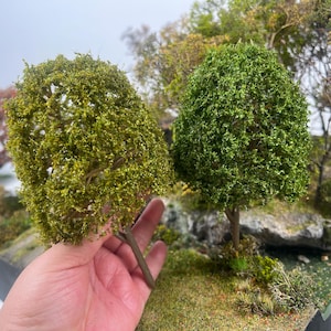 Peut inclure: Deux arbres miniatures modélisés avec un feuillage vert texturé. L'un des arbres est tenu dans une main, montrant son tronc brun et ses feuilles détaillées. L'autre arbre est d'un vert plus foncé. L'arrière-plan présente d'autres arbres et de la verdure.