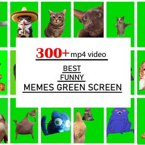 May include: A collage of images featuring cats in various humorous poses against a green screen background. The central text reads "300+ mp4 video BEST FUNNY MEMES GREEN SCREEN."