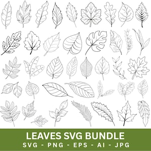 Peut inclure: Une collection d'illustrations au trait noir et blanc représentant diverses formes de feuilles et de feuillages botaniques. L'image comprend une variété de motifs de feuilles caduques et tropicales disposés en grille, avec le texte LEAVES SVG BUNDLE SVG - PNG - EPS - AI - JPG en bas.