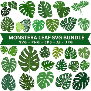May include: A collection of green Monstera leaves in various shapes and sizes, with a white background. The image includes the text "MONSTERA LEAF SVG BUNDLE" and file type options: SVG, PNG, EPS, AI, and JPG. The leaves have a tropical theme.