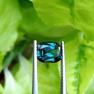 Peut inclure: Une pierre précieuse de couleur teal, de taille coussin, tenue par une pince à épiler sur un fond vert flou. La pierre précieuse a une couleur profonde et saturée et une surface à facettes. La pince à épiler est argentée.