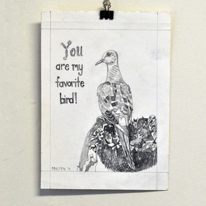 Mourning Dove You are my Favorite Bird Original Drawing, Mourning Dove Art, Mourning Dove Drawing, Dove Illustration, Dove Pencil Artwork