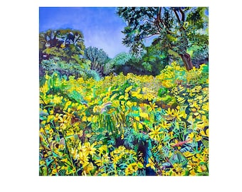 Rumi's Field Cards, Gelbe Feldkarten, Sommergelbe Blumen, Coreopsis Blumenkarten, Felder der Blumenkunst, Tower Grove Park Kunst