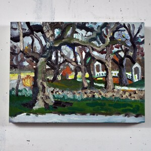 Forest Park Early Spring Painting, St. Louis Forest Park, Forest Park Artwork, Forest Park Spring Landscape, St. Louis Landscape Artwork