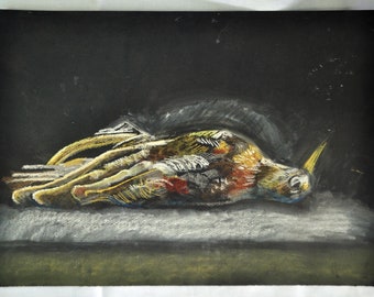 Letzter Atemzug der Passagiertaube, Martha die Beifahrertaube, Beifahrertaube Kunst, ausgestorbene Kunst, ausgestorbenes Vogel Kunstwerk