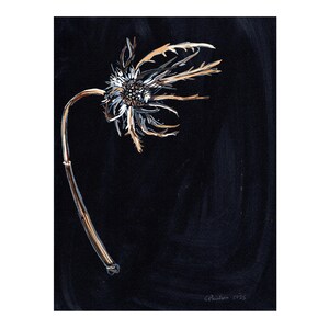 Dipinto originale a guazzo Sea Holly, Eryngium