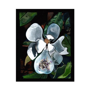 Magnolia tree flower limited edition print; blooming Magnolia; Tower Grove Park trees; night flowers; scent of Magnolia; gouache painting