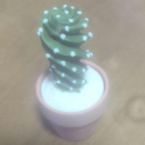 May include: A small, decorative cactus in a pink pot. The cactus is a vibrant green with white dots, and the pot has a white interior. The image is a close-up shot, highlighting the details of the miniature plant.