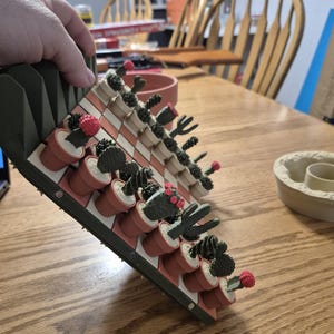 May include: A unique cactus-themed chess set. The board features a green frame and a red and white checkered playing surface. Each chess piece is a miniature cactus in a terracotta pot, with some pieces displaying red flowers. The set is held by a hand.