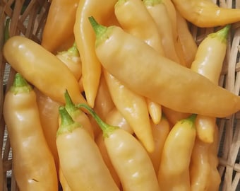 Sugar Rush Peach Pepper Seeds - 25 Seeds