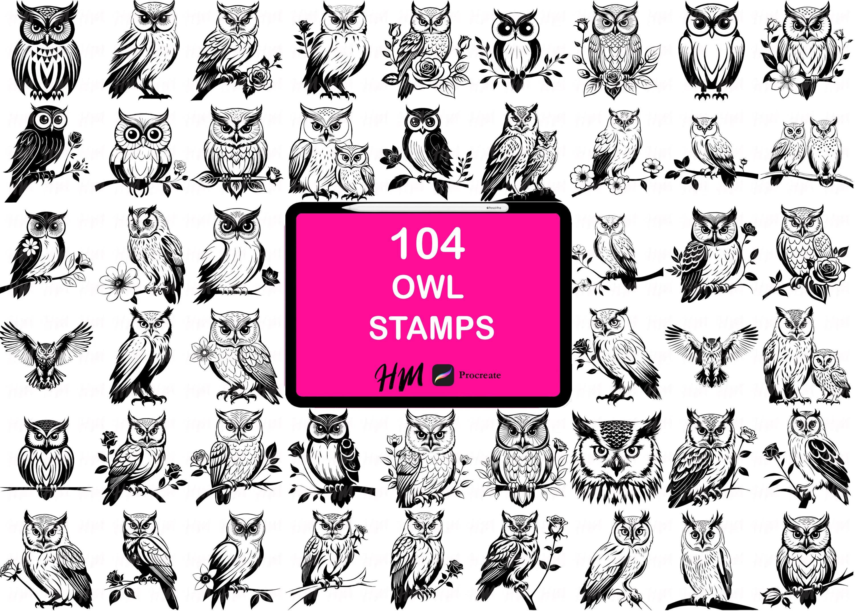 Owl Procreate Stamps, Bird Brushes, Wildlife Illustration, Animal Line Art, Tattoo Design Set