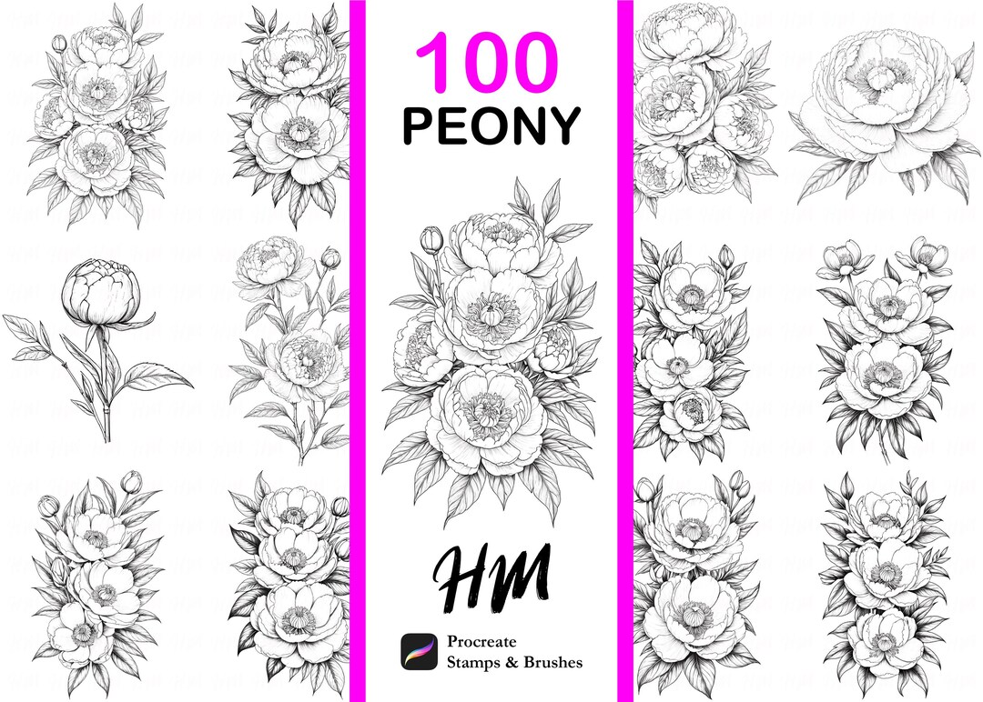 Peony Flower Procreate Stamps | Floral Stamp Brushes for Digital ...