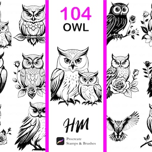 Peut inclure: Illustrations de hiboux en noir et blanc. L'image présente 104 dessins de hiboux, dont des hiboux avec des motifs floraux et dans diverses poses. Le texte "104 OWL" est affiché en rose. L'image comprend également le texte "HM Procreate Stamps & Brushes".