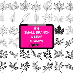 May include: A digital collection of 89 small branch and leaf stamps displayed as black line art and silhouettes on a white background. A central pink rectangular graphic features the text 89 SMALL BRANCH & LEAF STAMPS with HM Procreate logo.