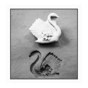 May include: A black and white photograph of a plaster mold of a swan. The mold is on a textured surface. The swan is in a graceful pose with its neck arched and its wings spread.