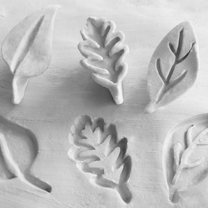 May include: A collection of six white, leaf-shaped decorative elements. The leaves vary in shape and size, with detailed veining and textures. They are arranged on a textured, off-white surface, creating a natural, artistic display. Ideal for home decor.