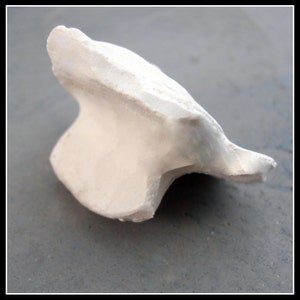 hand carved bisque clay stamps for stoneware clay, polymer clay, metal clay, and crafts. 63 image 5