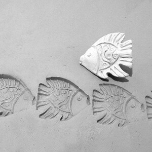 May include: A close-up of a white ceramic tile with five fish imprints. The fish are arranged in a row, with the largest fish at the top and the smallest fish at the bottom. The fish are all facing the same direction, with their tails pointing to the right.