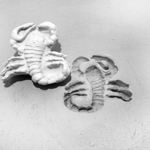 Stamps for Clay,  Unique Textures,  Handmade Stamp, Ceramic Clay Stamp   for ceramic clay, polymer clay, metal clay, soap  ( 204 )