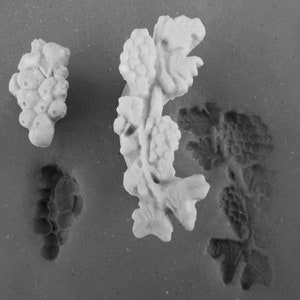 May include: Four plaster grape vine and grape cluster moulds in varying sizes. The moulds are white and grey, with detailed textures of leaves and grapes. The moulds are arranged on a grey surface.