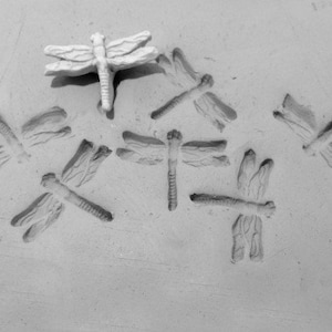 Dragonfly Stamp -clay stamps for pottery -pottery stamps - Bisque clay stamps - crafting stamps - pottery tool -   # 316