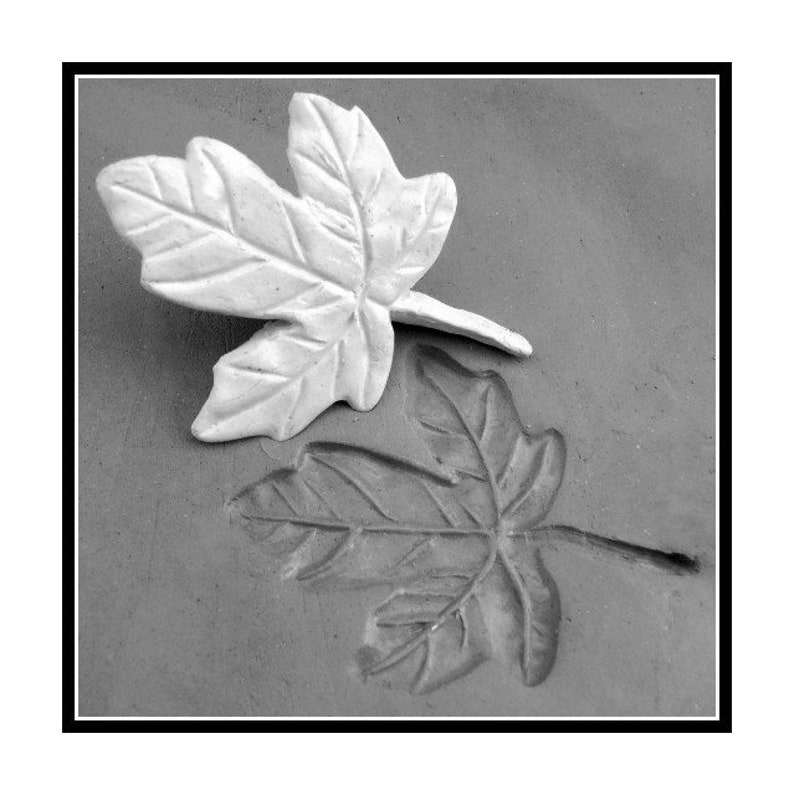 pottery stamp bisque Maple leaf stamp for stamping on stoneware clay, polymer clay, metal clay, crafts, and fondart foods 34 image 1
