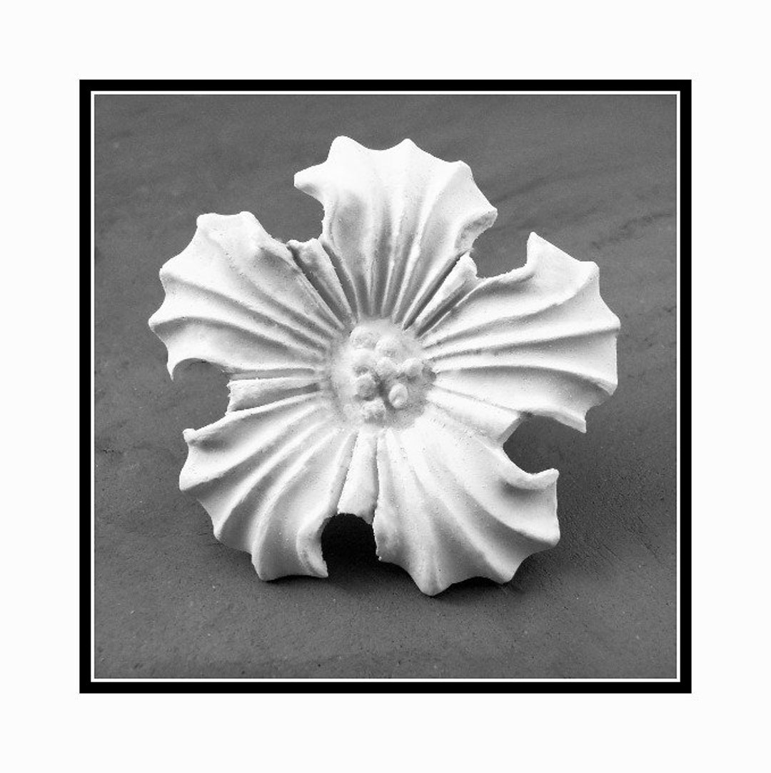 Hand Carved Bisque Clay Stamps for Stoneware Clay Polymer Etsy