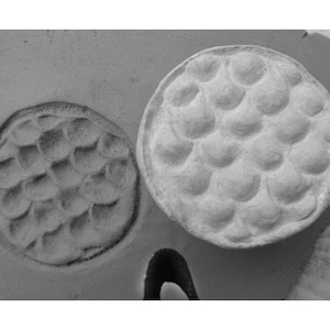 May include: Two round, gray, textured clay molds. One mold has a pattern of small, raised circles. The other mold has a pattern of small, raised squares.