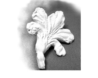 Hand carved Stamp, Pattern Tool, Stamps for Clay, Pottery Supplies      (6)