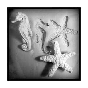 May include: A set of three white ceramic sea life figurines. The set includes a seahorse, a starfish, and a smaller starfish.
