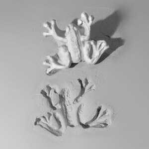 Puede incluir: Imagen en escala de grises de dos esculturas de ranas. La rana superior está completa, mientras que la inferior es una huella. Ambas son de color claro, con texturas detalladas y extremidades visibles.