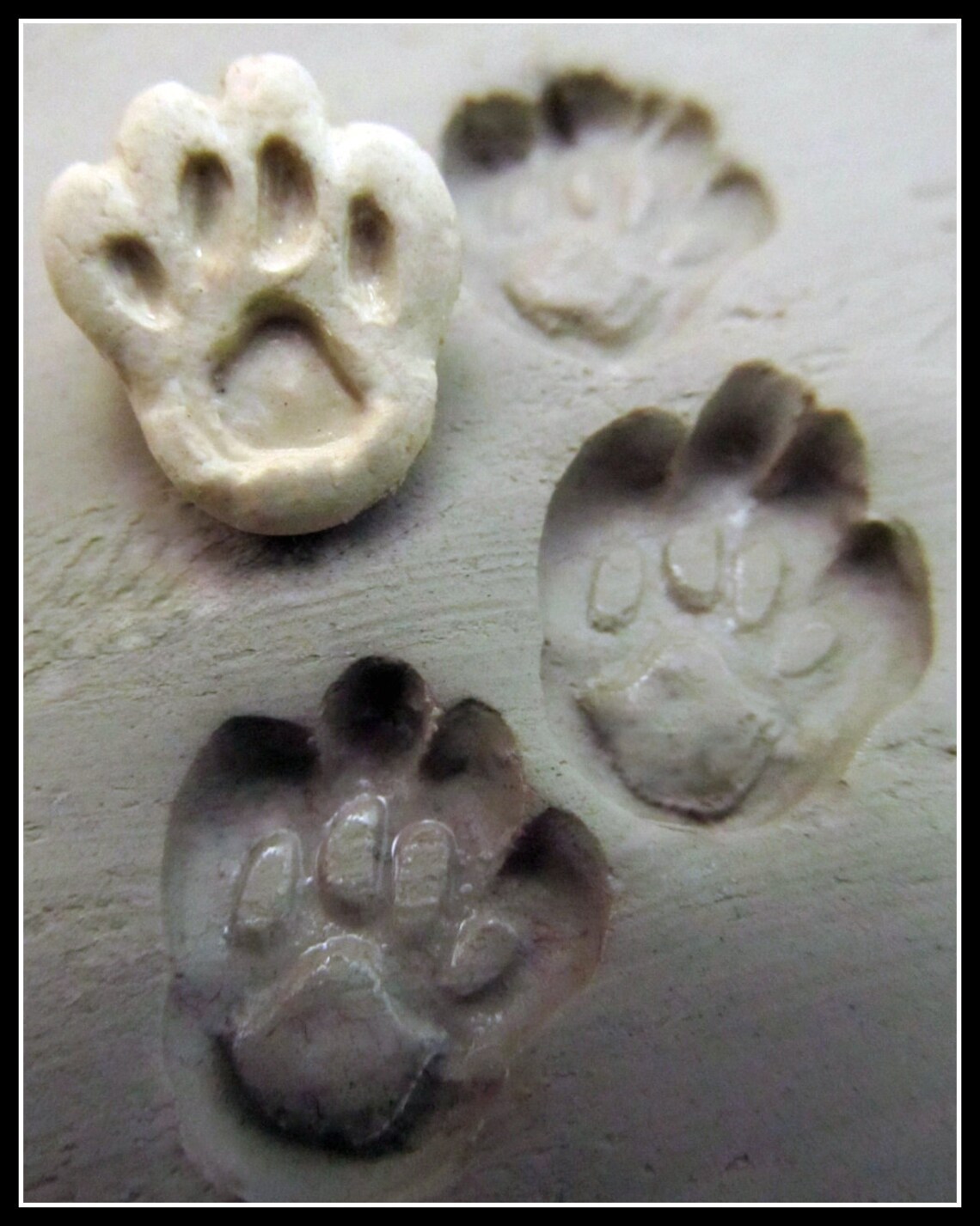 Bisque Stamp, Small Dog Paw, for Stamping on Stoneware Clay, Polymer