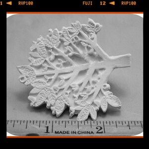 May include: White plaster mould of a tree with intricate branches and leaves. The mould is approximately 5 cm wide and is sitting on a ruler.