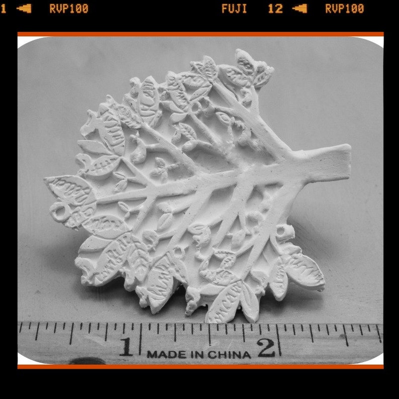 May include: White plaster mould of a tree with intricate branches and leaves. The mould is approximately 5 cm wide and is sitting on a ruler.