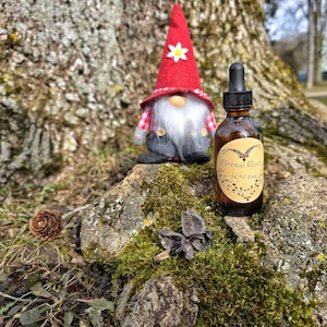 Puede incluir: Una botella de vidrio marrón con un cuentagotas, etiquetada como "Eternal Elixir 12.02.2026", se encuentra sobre una roca musgosa junto a una figura de gnomo con un sombrero rojo con una flor blanca. También se ven una piña y una vaina.