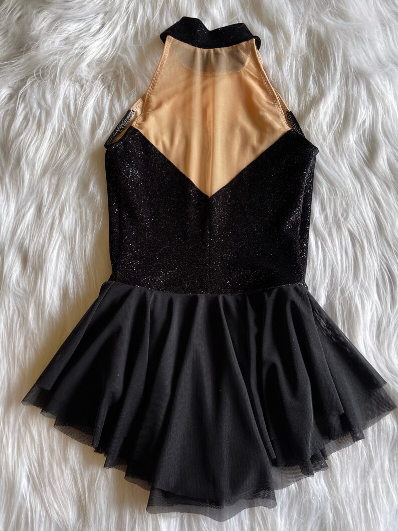 May include: Black dance leotard with a sheer mesh panel in the back and a black tulle skirt. The leotard has a sparkly finish.