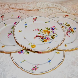 Castleton: Ascona Dinner & Salad Plates