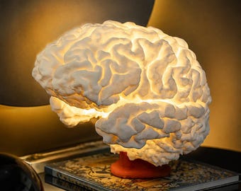 3D-hersenlamp, led-nachtlampje, uniek neurowetenschappelijk decor, creatief hersenlicht, cadeau voor arts-therapeut, studentenbureaulamp, woondecoratie