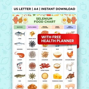 Könnte beinhalten: Eine farbenfrohe Selen-Nahrungsmittelkarte mit Illustrationen verschiedener Lebensmittelgruppen, darunter Meeresfrüchte, Nüsse, Getreide, Milchprodukte und Fleisch. Die Karte enthält den Text "US LETTER | A4 | INSTANT DOWNLOAD" und "WITH FREE HEALTH PLANNER".