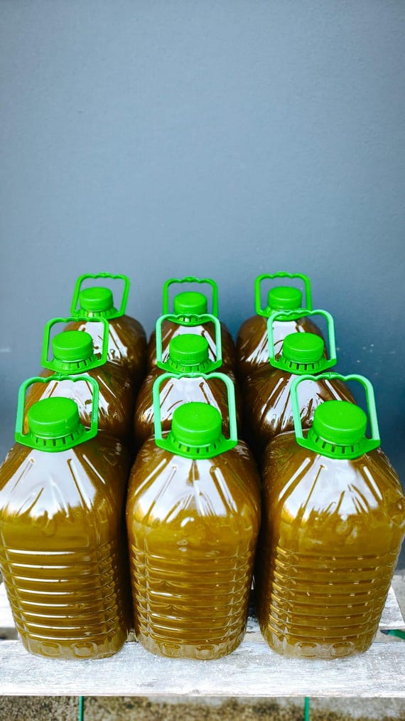 Huile d’olive marocaine 100 % extra vierge moroccan olive oil olio d'oliva – Pressée à froid & broyée à la pierre non raffinée --- 5 Litres