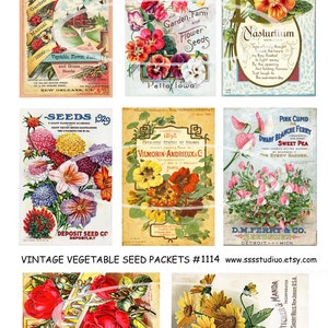 Pacotes de sementes de flores vintage, etiquetas digitais para flores, etiquetas de primavera, mídia mista, download de colagem digital, materiais de artesanato, cartões para impressão
