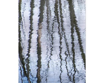 Impresión en aluminio cepillado de 20 x 30 cm / 8 x 12″