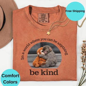 May include: Rust-coloured Comfort Colors t-shirt featuring a graphic of two hugging monkeys and the words "In a world where you can be anything, be kind." A gold star pendant necklace is on the shirt.