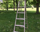 Vintage Step Ladder